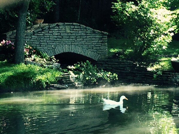 Come enjoy some peace and quiet in our garden setting...