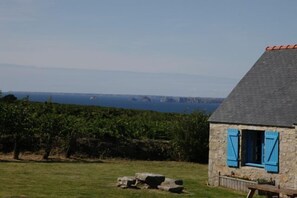 View of the garden through the kitchen window