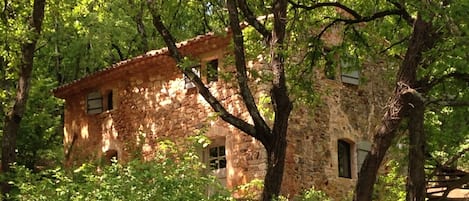 Le Cabanon dans sa chênaie