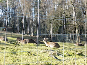 Parco della struttura