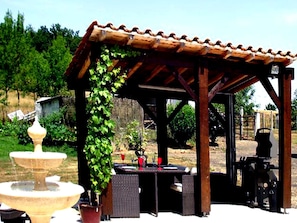 Your own private patio, BBQ Area, and outdoor dinning area