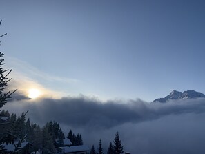 Vue en matin