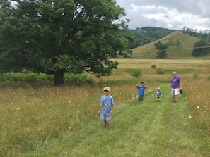 Exploring the Nature Trail of the property 