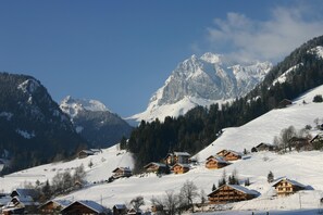 Area Chalet Sans Souci