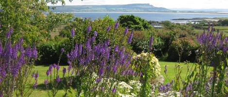 View of Magilligan Point from the garden