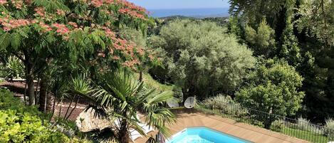 Piscine, jardin exotique, vue mer