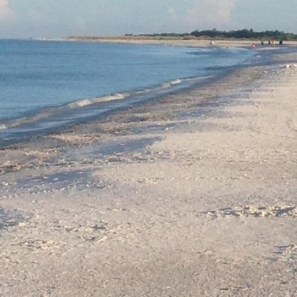 The beautiful, endless, blue Gulf of Mexico shoreline to start your day.