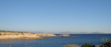 Vue Panoramique de la Terrasse