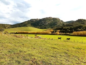 Terrenos do alojamento