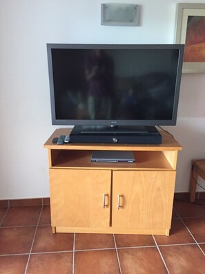 Television