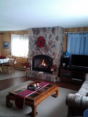 Living room with gas fireplace This fireplace is thermostatically controlled.