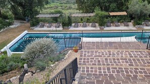 25 meter pool with sunbeds for all