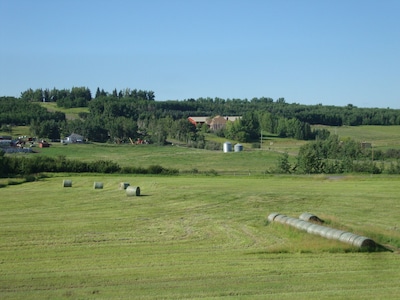 Quaint Country Carriage House Close to Calgary and Spruce Meadows Esquestrian