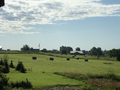 Quaint Country Carriage House Close to Calgary and Spruce Meadows Esquestrian