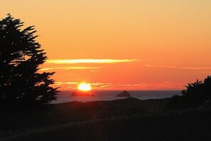 Evening view from the garden
