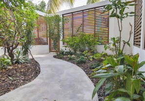 The front garden and the front path.