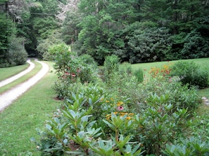 Country road drive way  adjacent to stream
