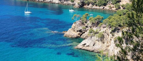 Côte sauvage