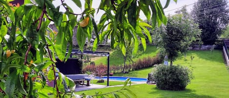 Vista de piscina, desde el jardín