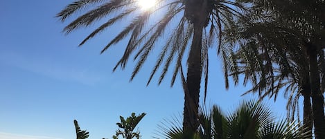 Vue sur la plage