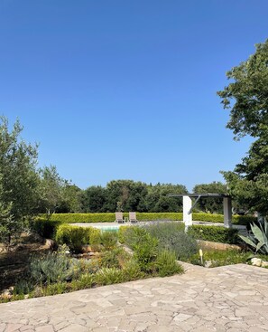 The terrace and salt waterpool