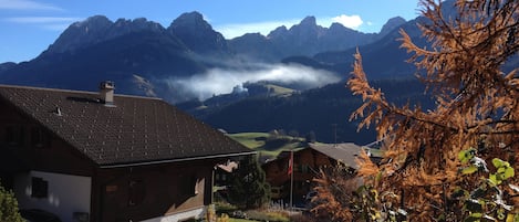 View from terrace in Autumn 