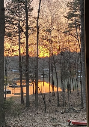 Winter View from Patio.
