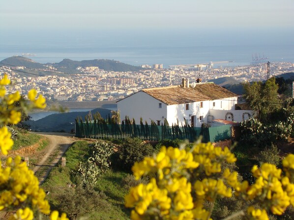 Stunning views of downtown Malaga and Mediterranean Sea in the distance.