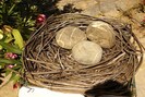 The Love Nest "Ninho do Amor"