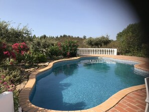 Pool overlooking the forest 