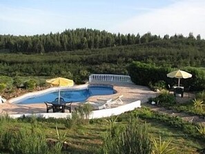 Private, secluded pool overlooking the forest 