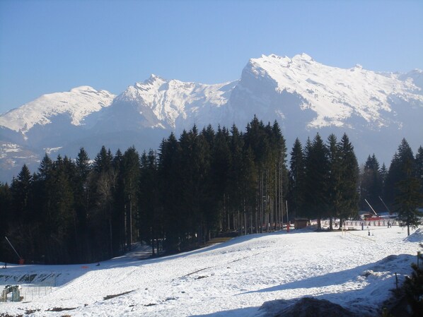 Sneeuw- en skisporten