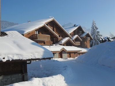 Luxury Alpine Apartment Close to Family Friendly Centre of Les Carroz