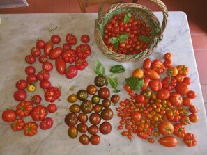 Comida y bebida