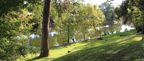 Jardines del alojamiento