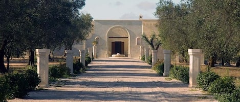 View of driveway from the main entrance gate