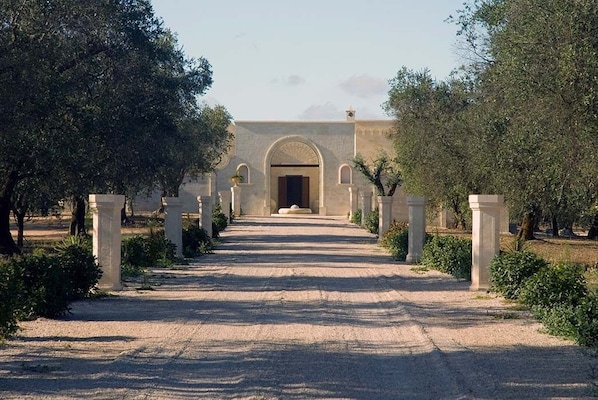 View of driveway from the main entrance gate