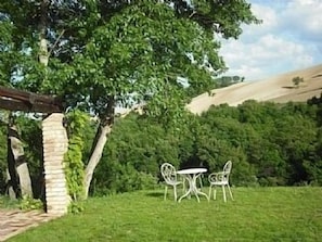 enjoy the views from the garden