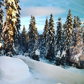 Skidåkning och snöaktiviteter