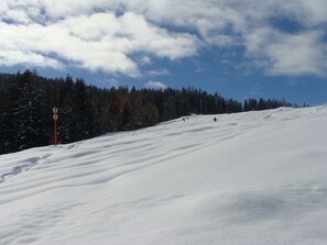 Snow and ski sports