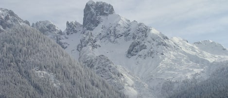 Winterimpression Bischofsmütze