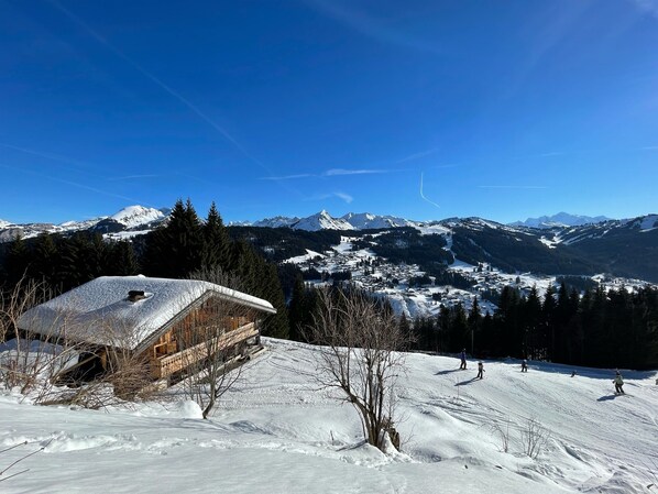 Wintersport/Ski