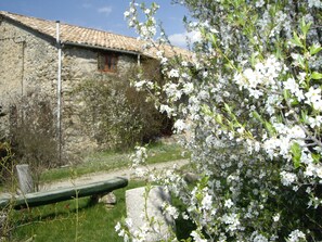 Les Balayres en fleurs