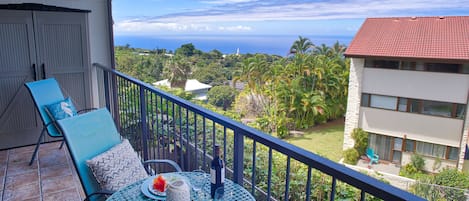 located at a cooler elevation this condo still has some lovely ocean views