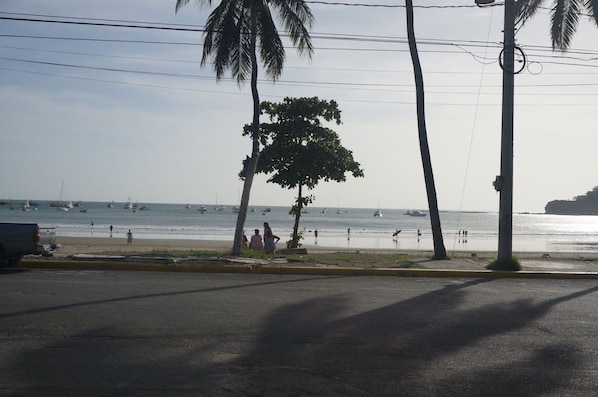 FRONT STREET VIEW, San Juan del Sur! Famous coconut and almonds trees!