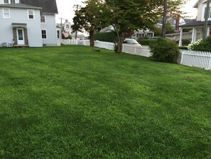 Extremely large yard, enclosed by picket fence.