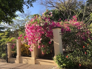 The distinctive gated entrance is surrounded by flowering plants.