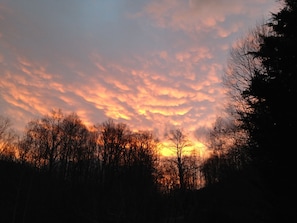 Oklassificerad bild, 5 av 46, knapp