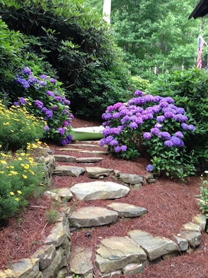 Hydrangeas love the cool mountain air .
