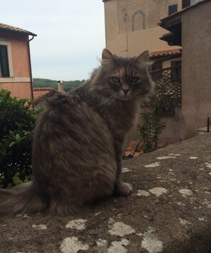 In the heart of the ancient borgo